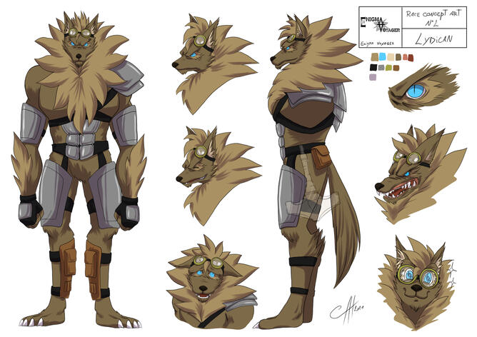 Enigma voyager race concept